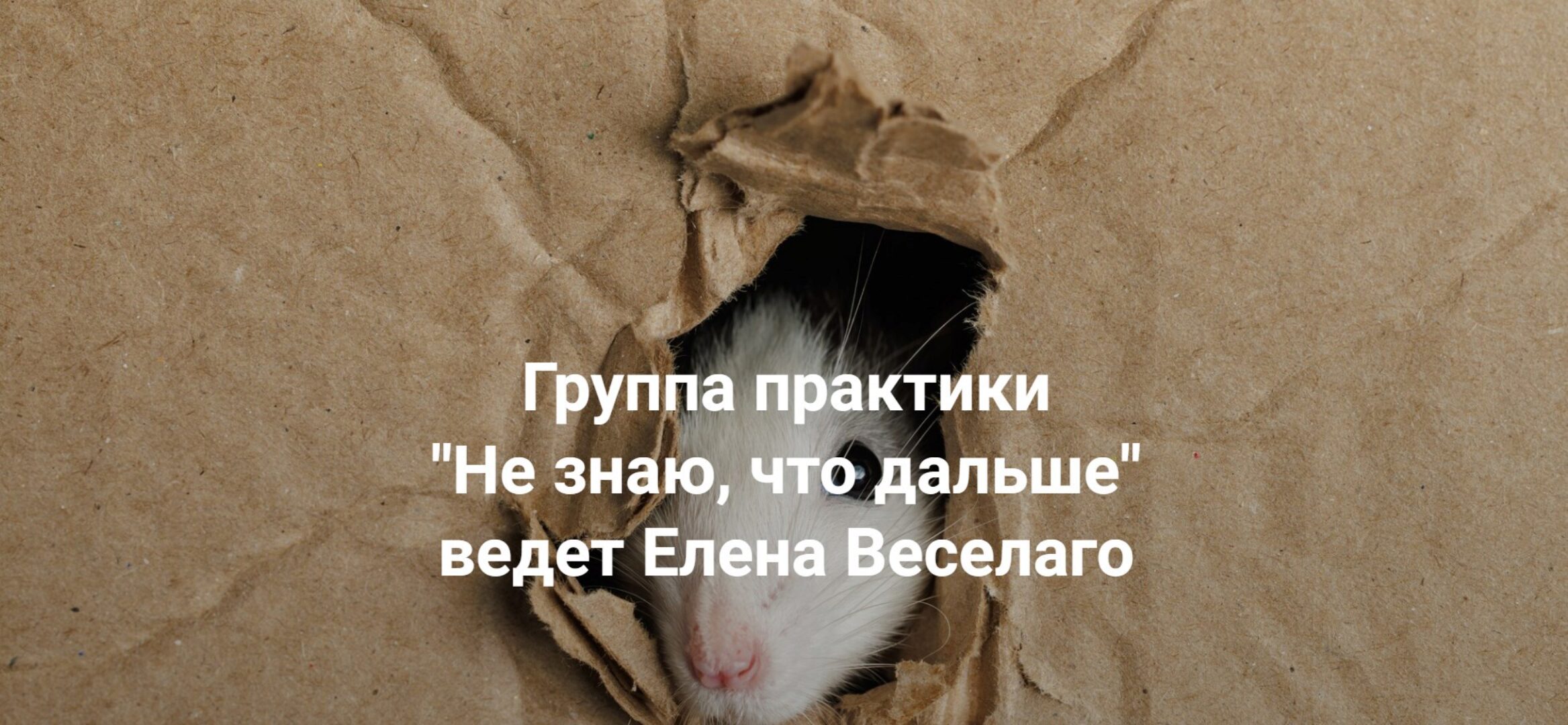 [Институт Открытого поля] Не знаю, что дальше (Елена Веселаго)