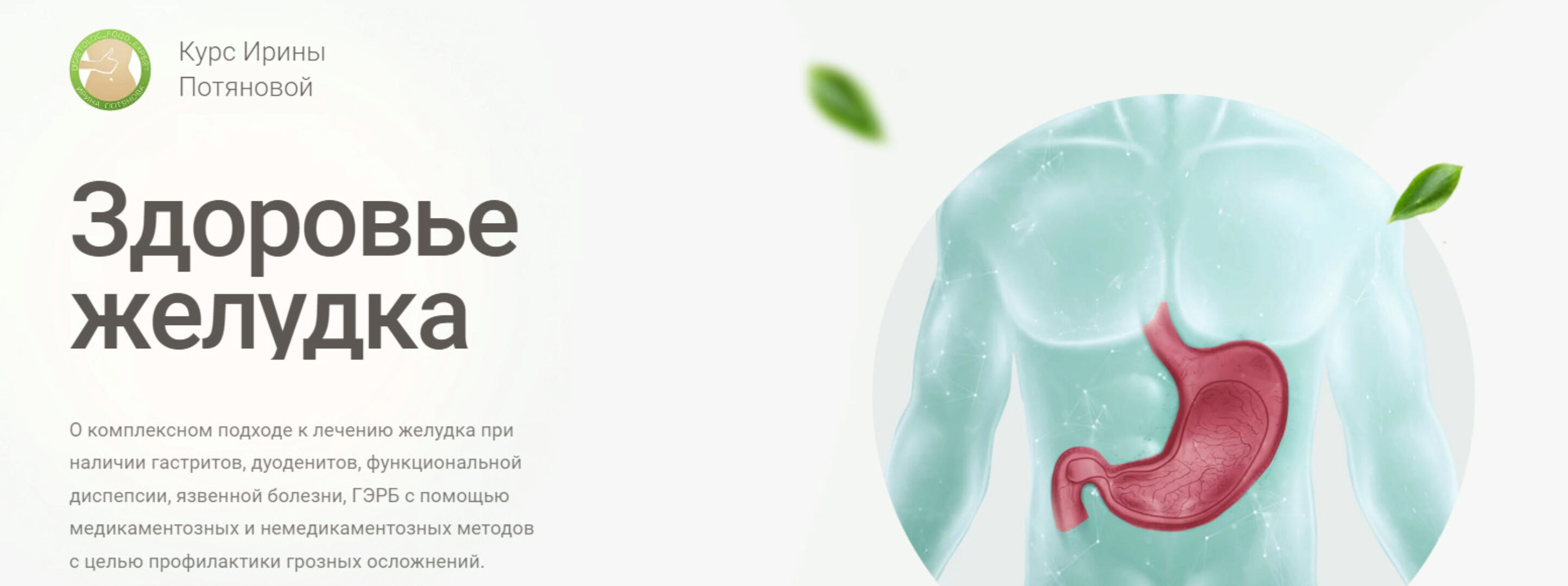 Здоровье желудка. Тариф Эконом. Обновленный (Ирина Потянова)