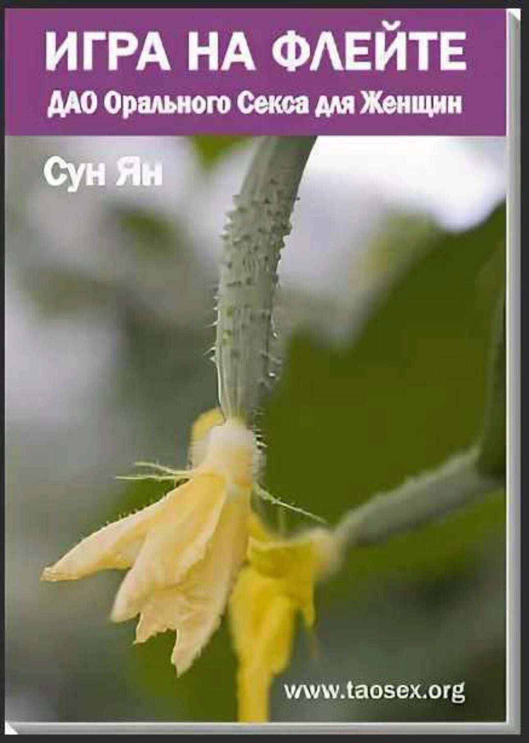 ДАО Орального Секса для Женщин или Игра на Флейте (Сергей Карпов)