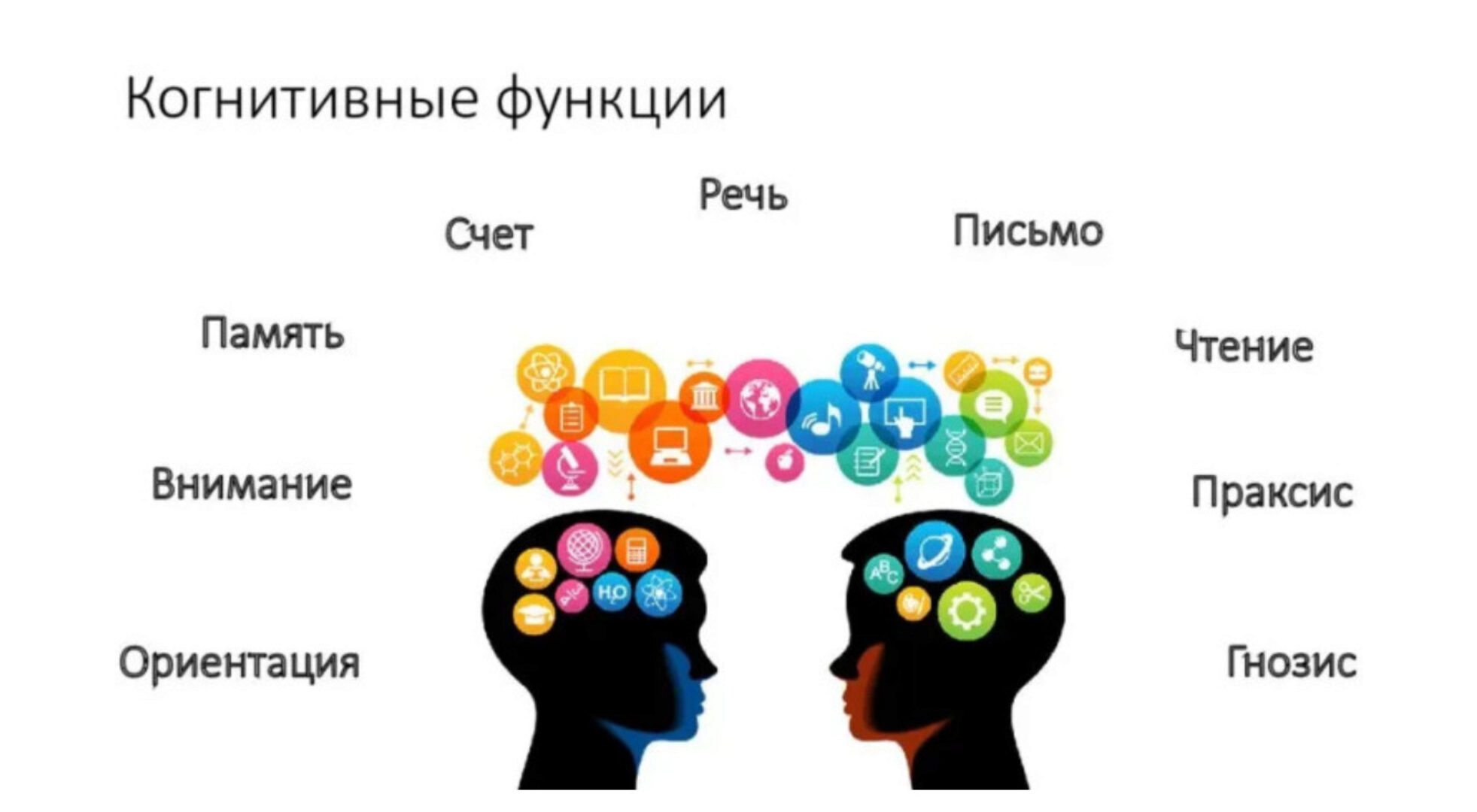 Когнитивные функции и их нарушения (Татьяна Визель)