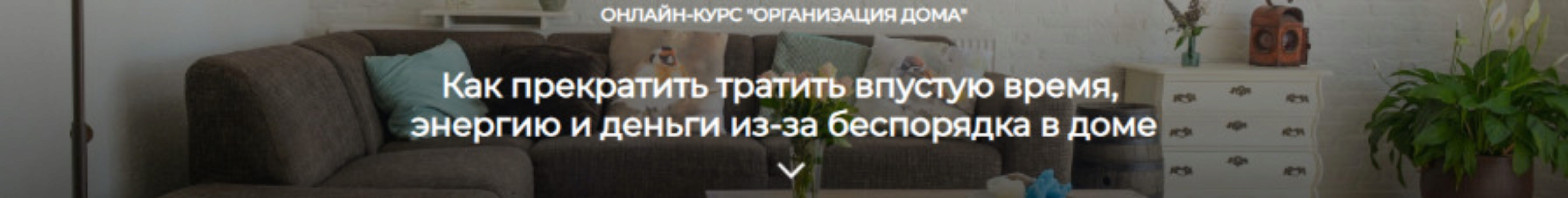 Организация дома. Тариф Самостоятельно (Нина Ефименко)