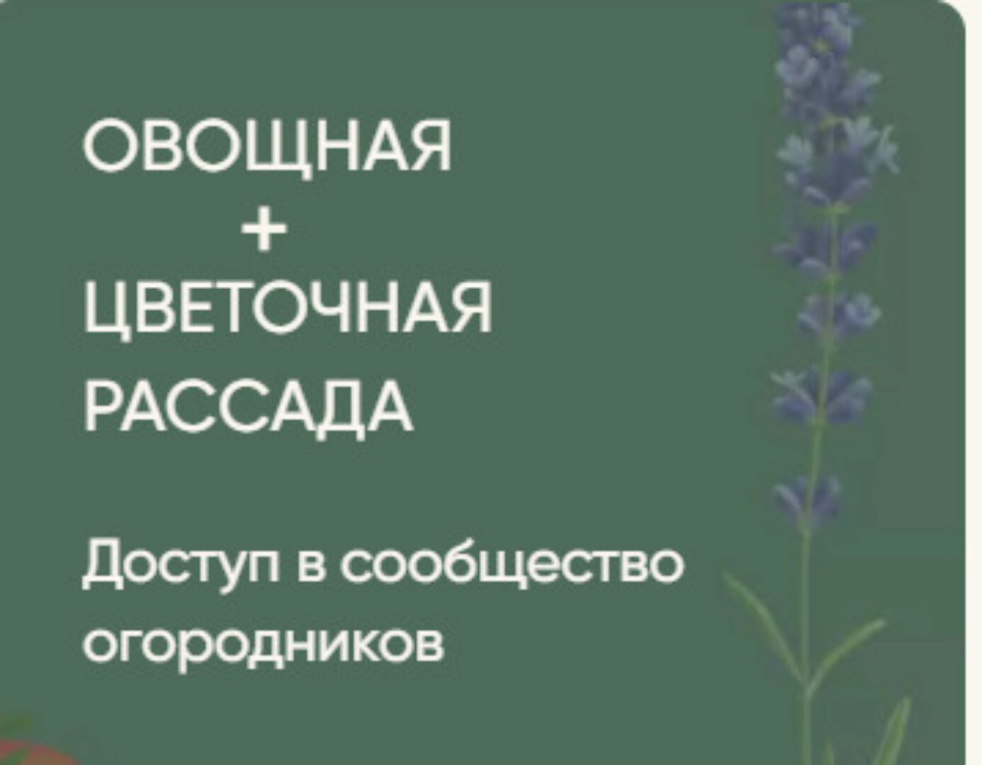 Рассада без досады. Овощная + цветочная рассада (Анна Акинина)