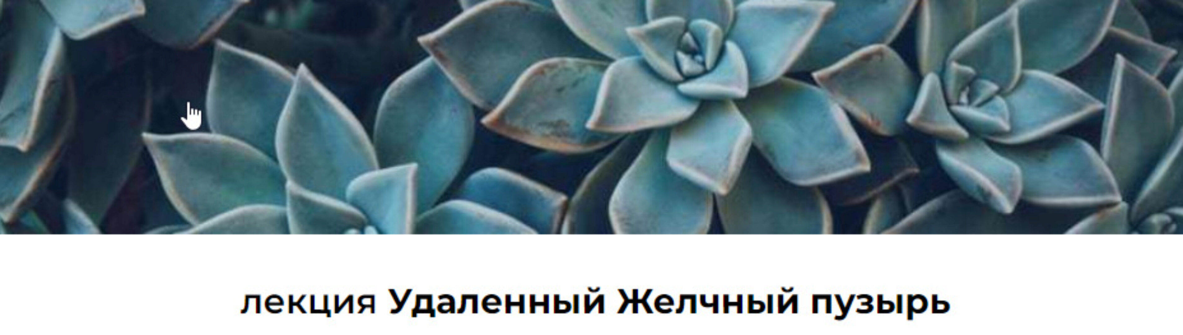 Лекция «Удаленный Желчный пузырь» (Венера Хабирова)