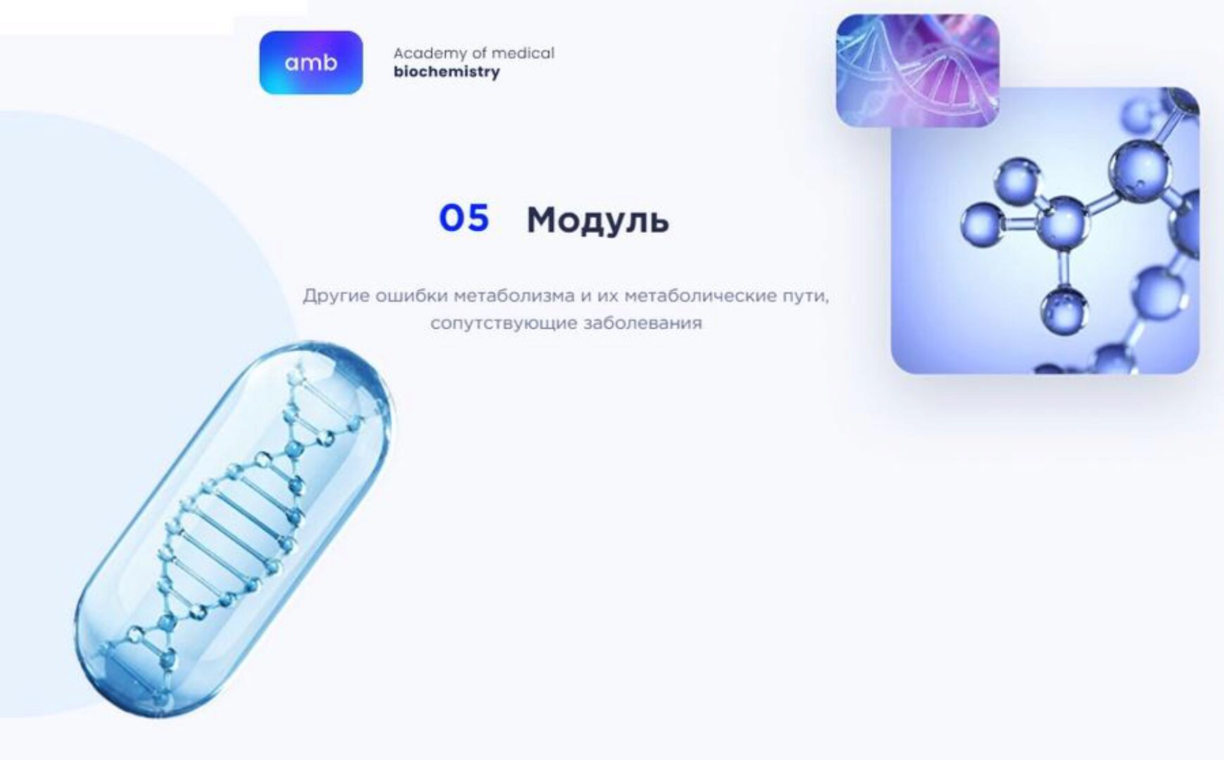 [amb] Основы биохимии. 5 модуль. Другие ошибки метаболизма и их метаболические пути, сопутствующие заболевания (Елизавета Радевич)