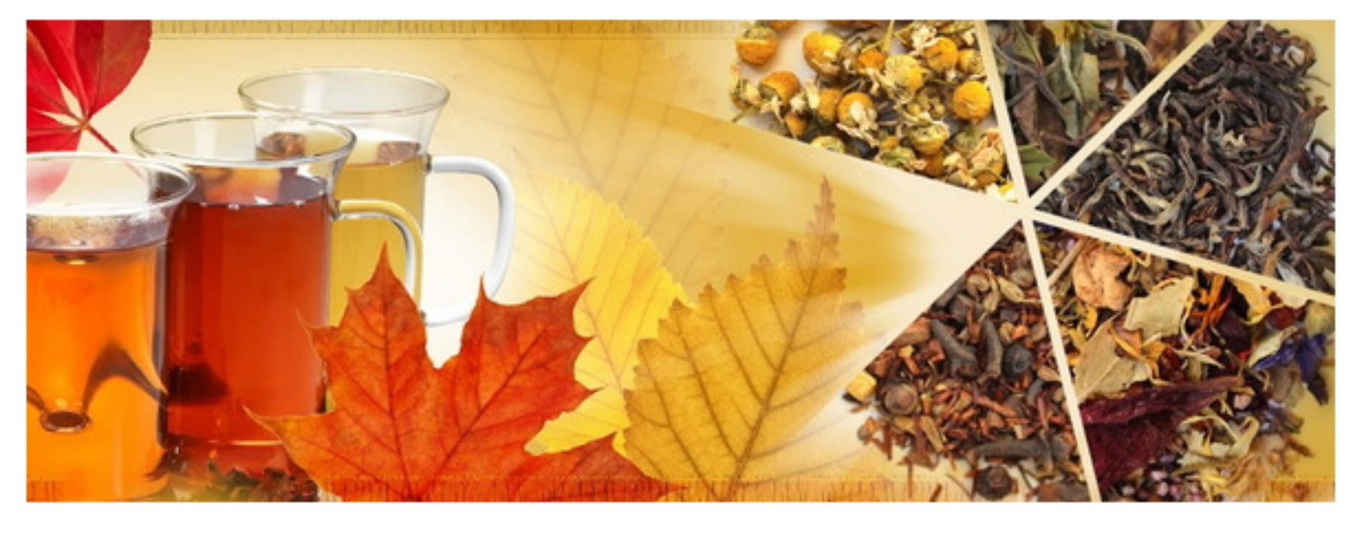 Мягкий и бережный детокс без жестких ограничений по Аюрведе (Елена Левицкая)