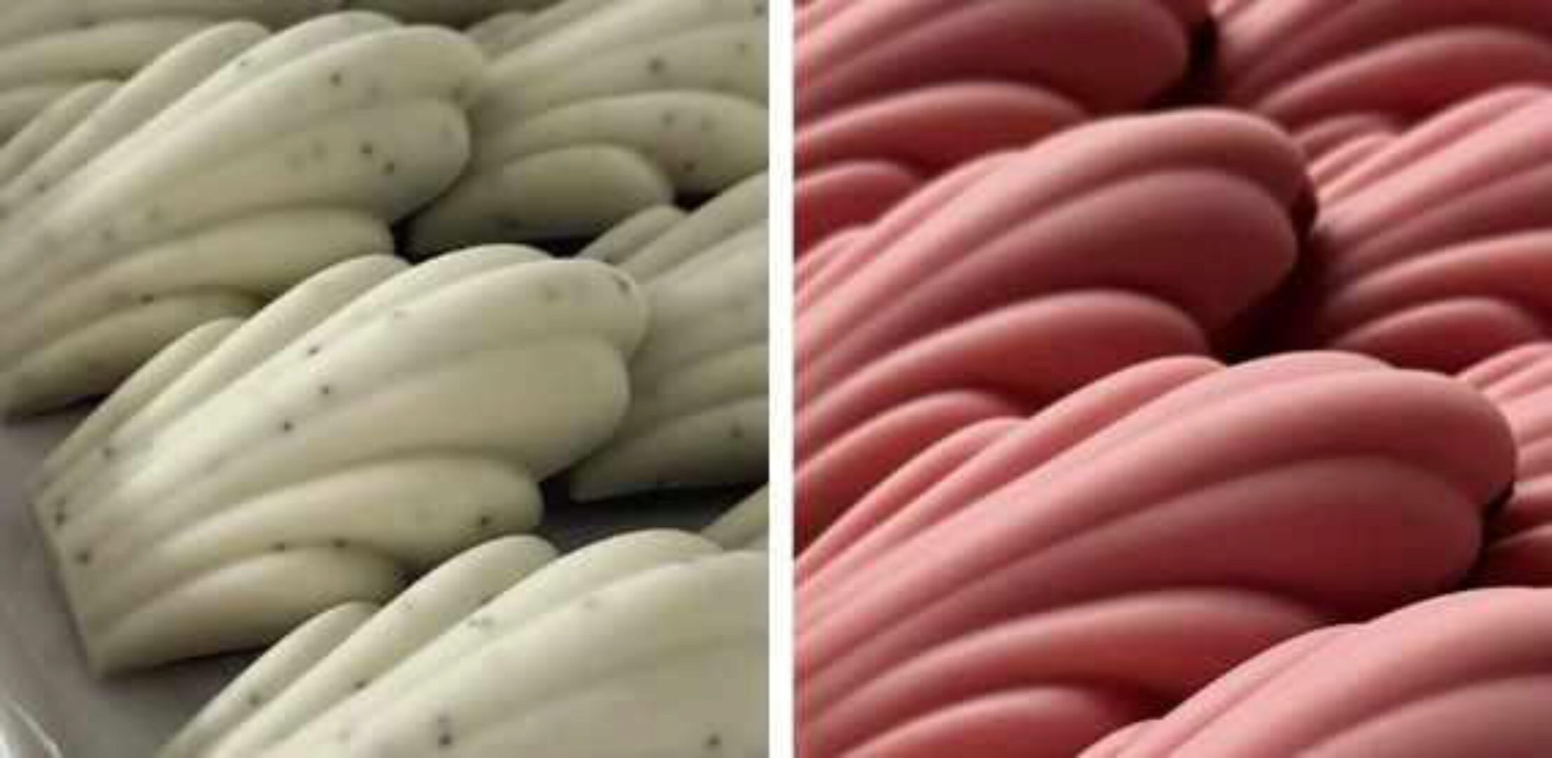 Мадлен (Людмила Гуркова, Натали Мереакр)