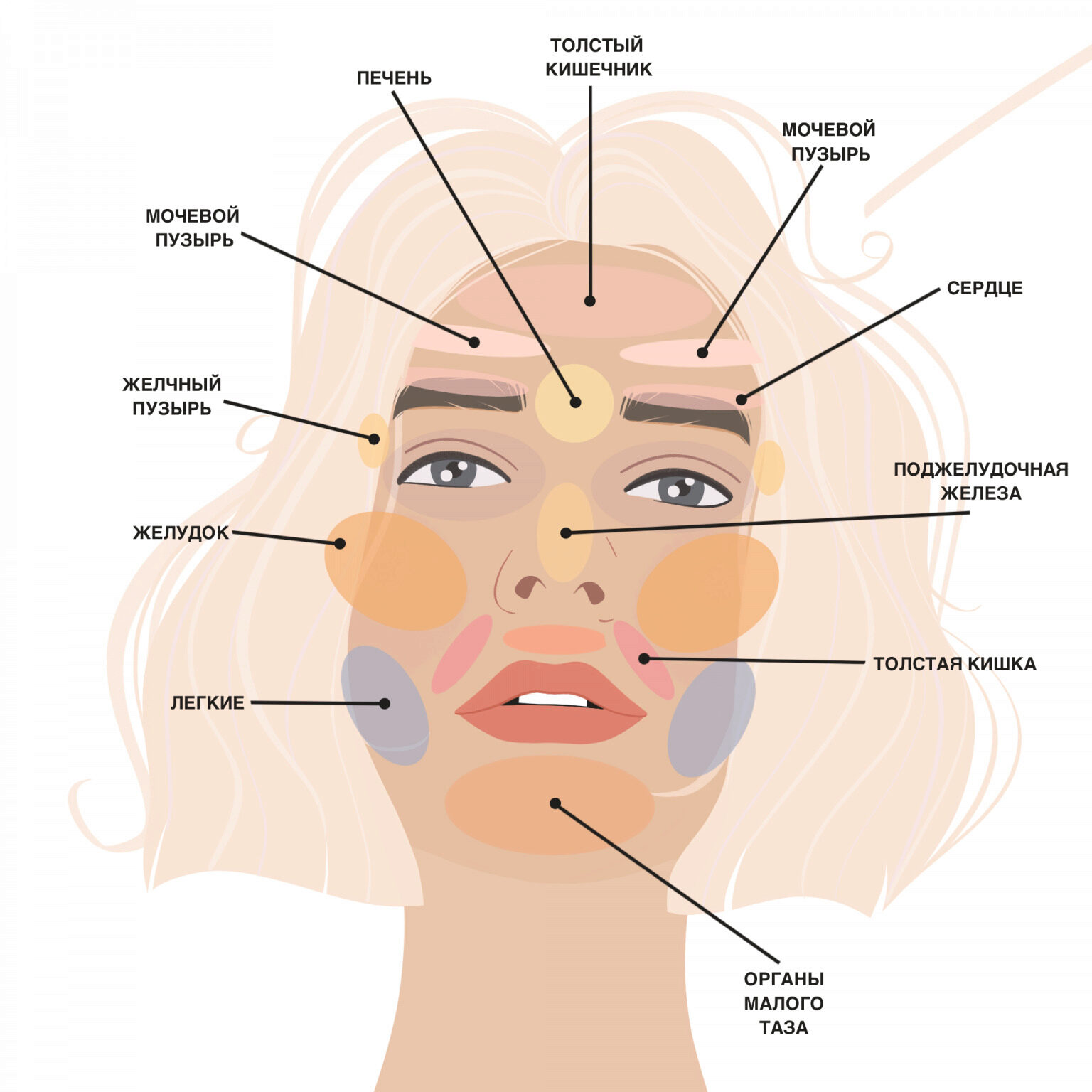 Кожа мечты 2.0. Тариф «Основной» (Александра Ефимова)