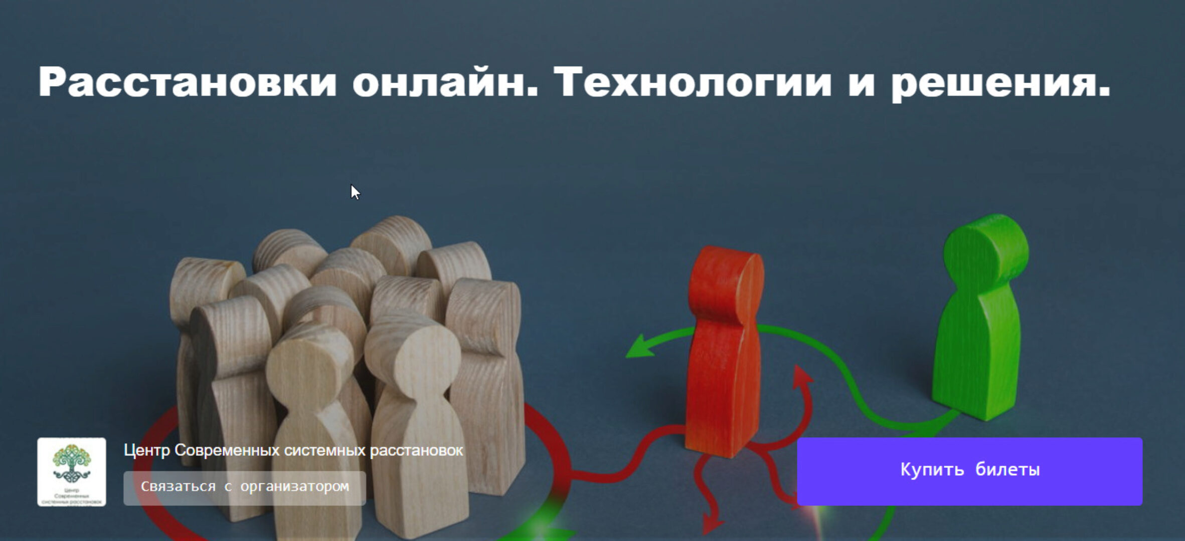 Расстановки онлайн. Технологии и решения (Елена Веселаго)