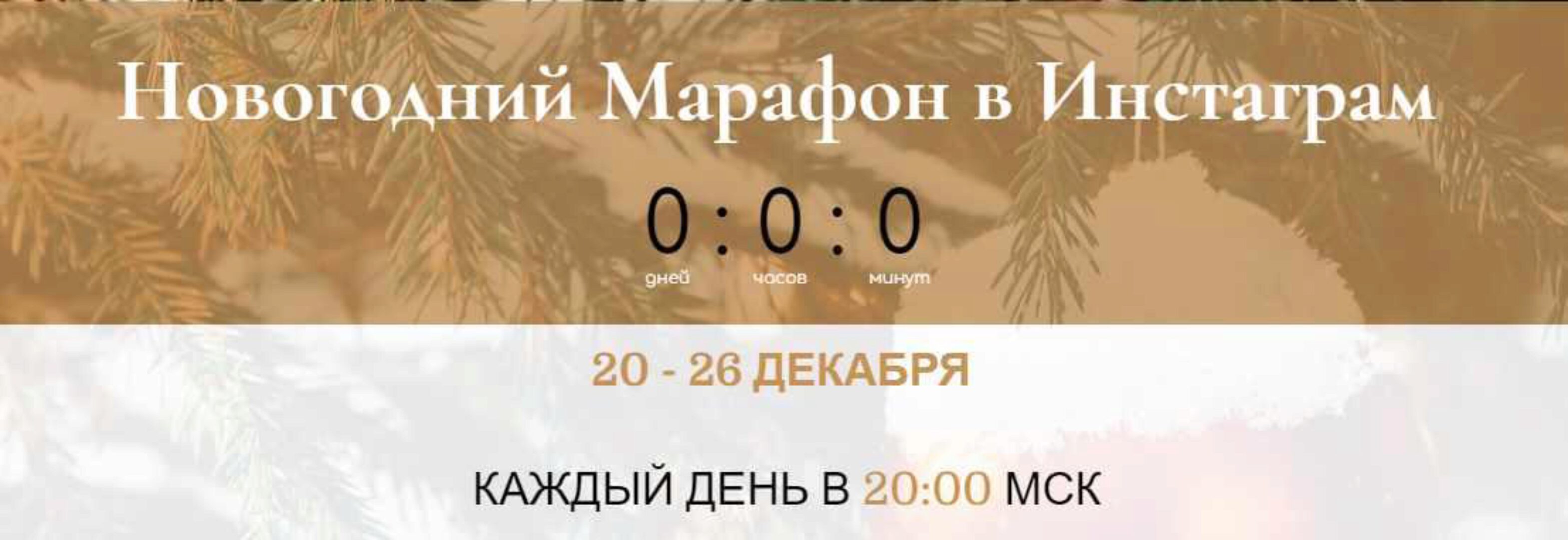 Новогодний Марафон в Инcтаграм (Алина Агида)