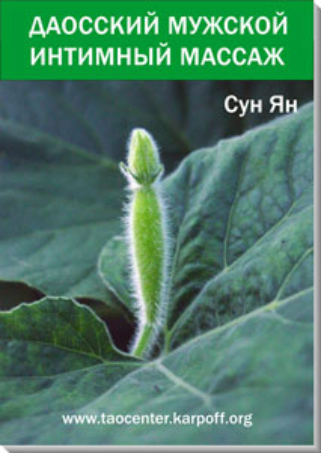 Даосский интимный энергетический массаж для мужчины (Сун Ян)