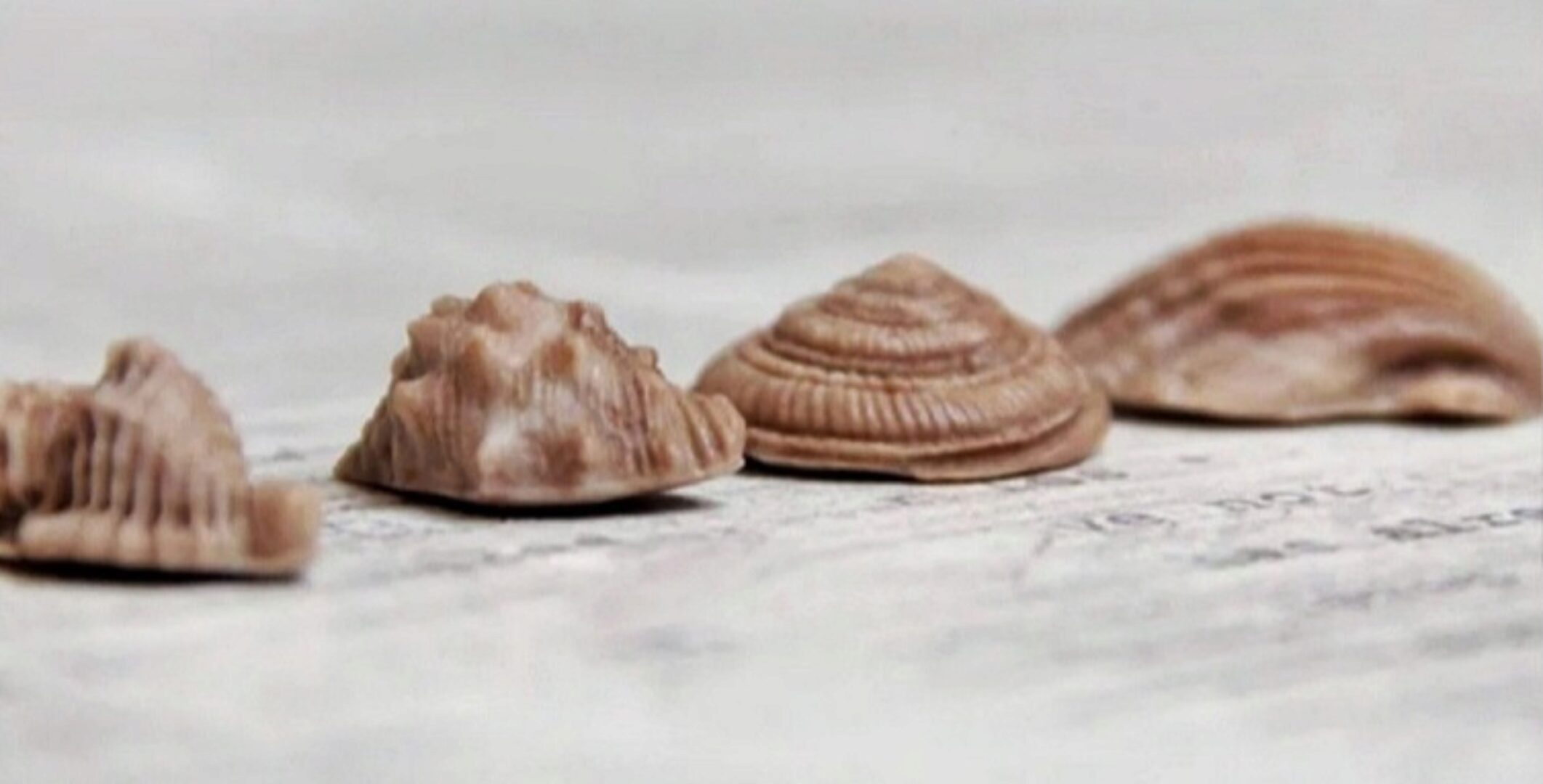 [Zero Cake School] Пластичный шоколад Без Сахара (Светлана Шубина)