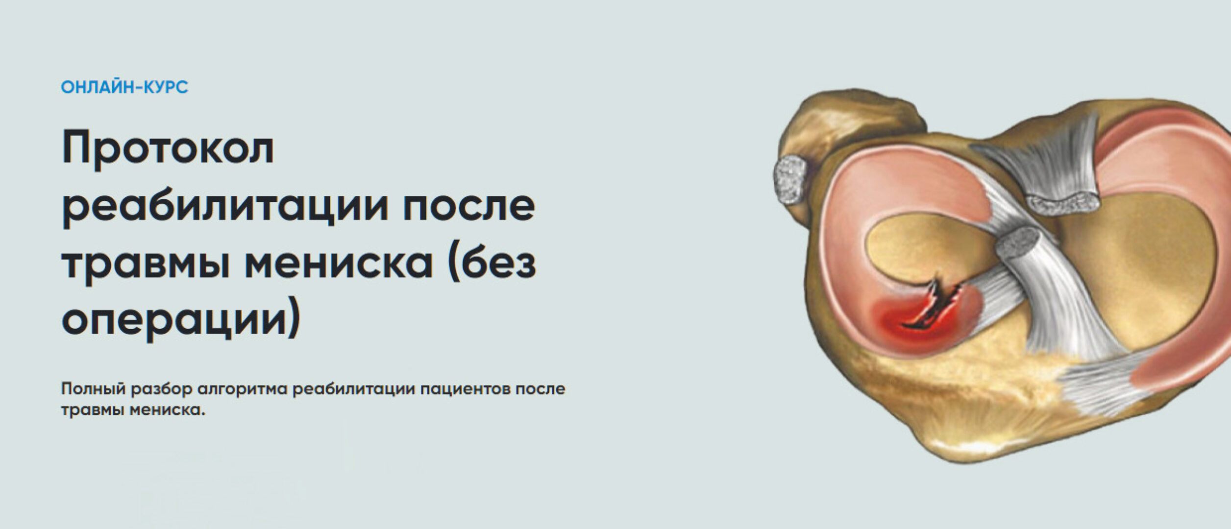 [Rehab Science] Протокол реабилитации после травмы мениска (Андрей Богатырев)