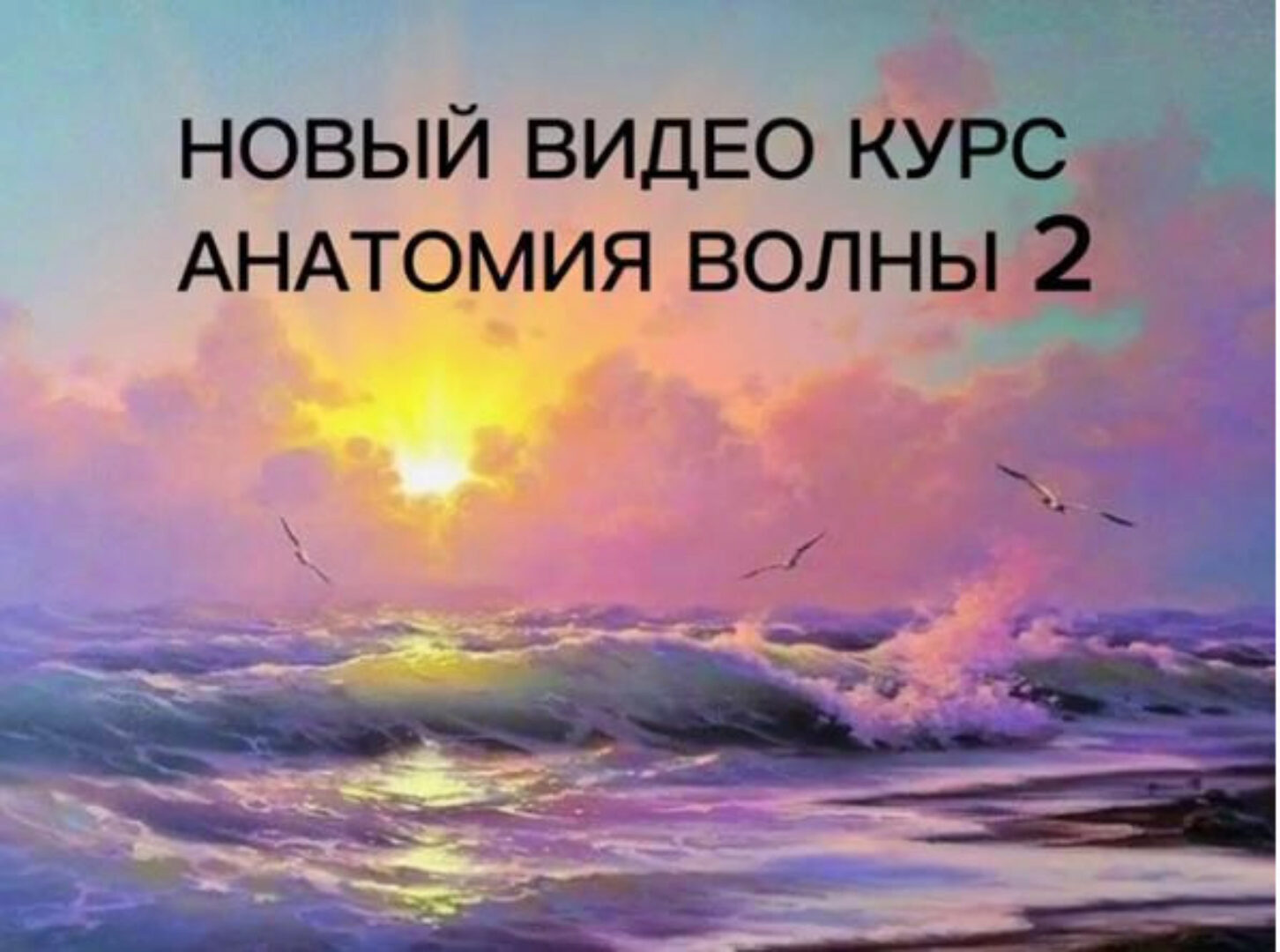 Анатомия волны 2 (Виталий Антипин)