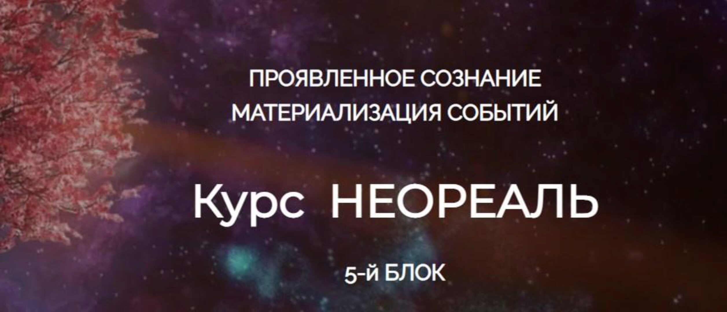Неореаль 5. Проявленное сознание. Материализация событий (Эмилия Франк)