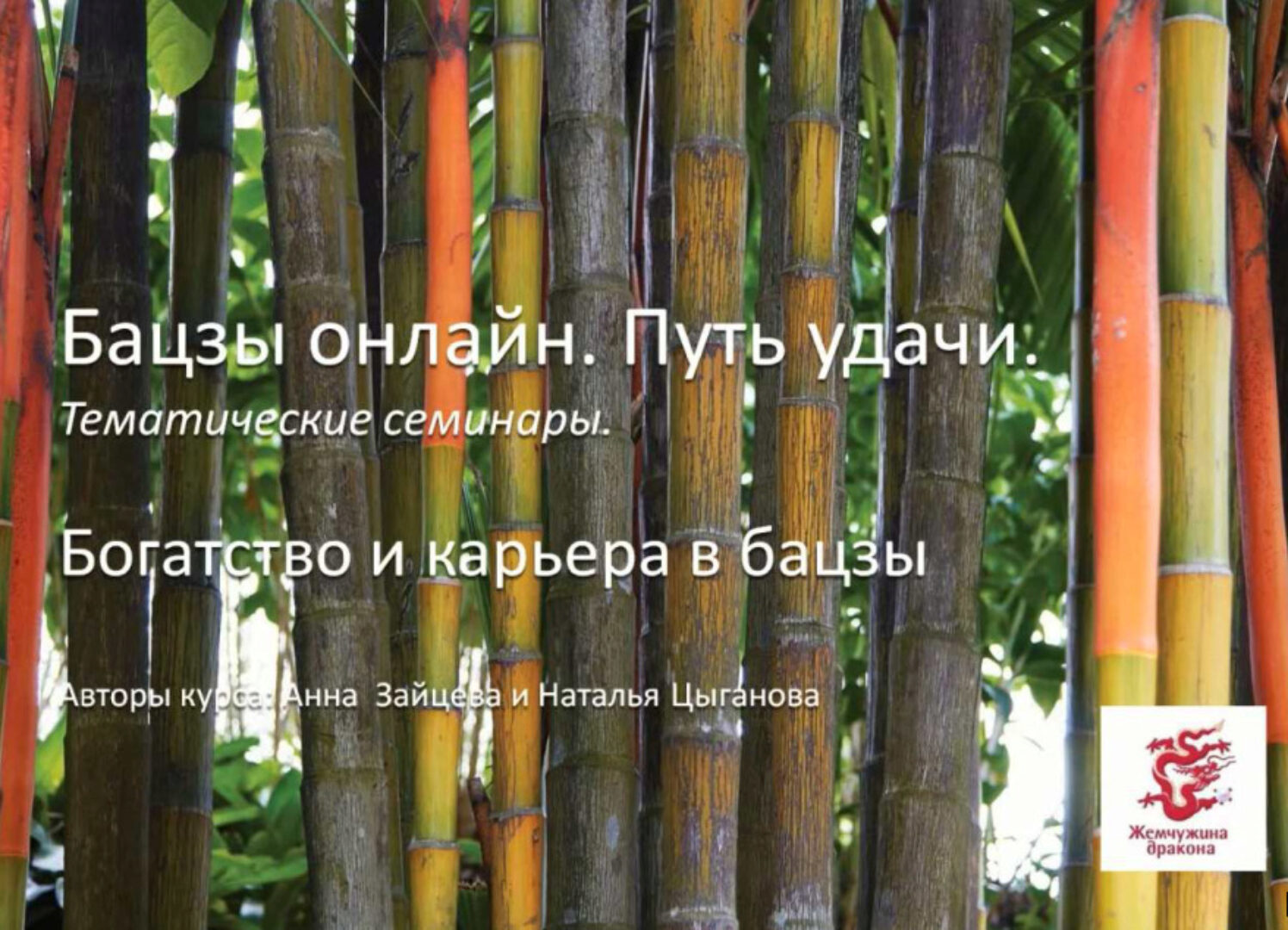 Бизнес и карьера в бацзы (Анна Зайцева, Наталья Цыганова)