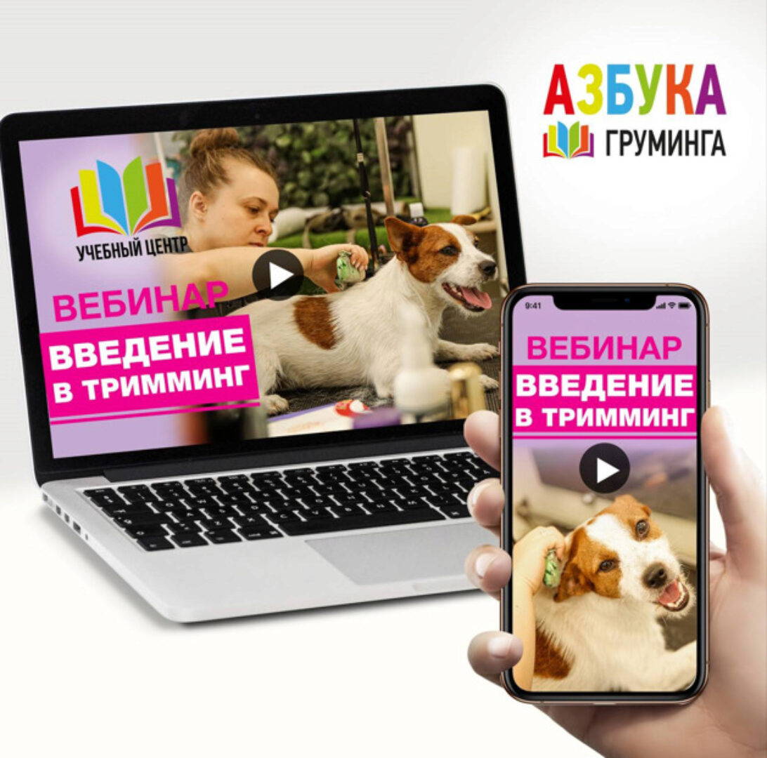 [Азбука Груминга] Тримминг для начинающих (Ксения Селезнёва)