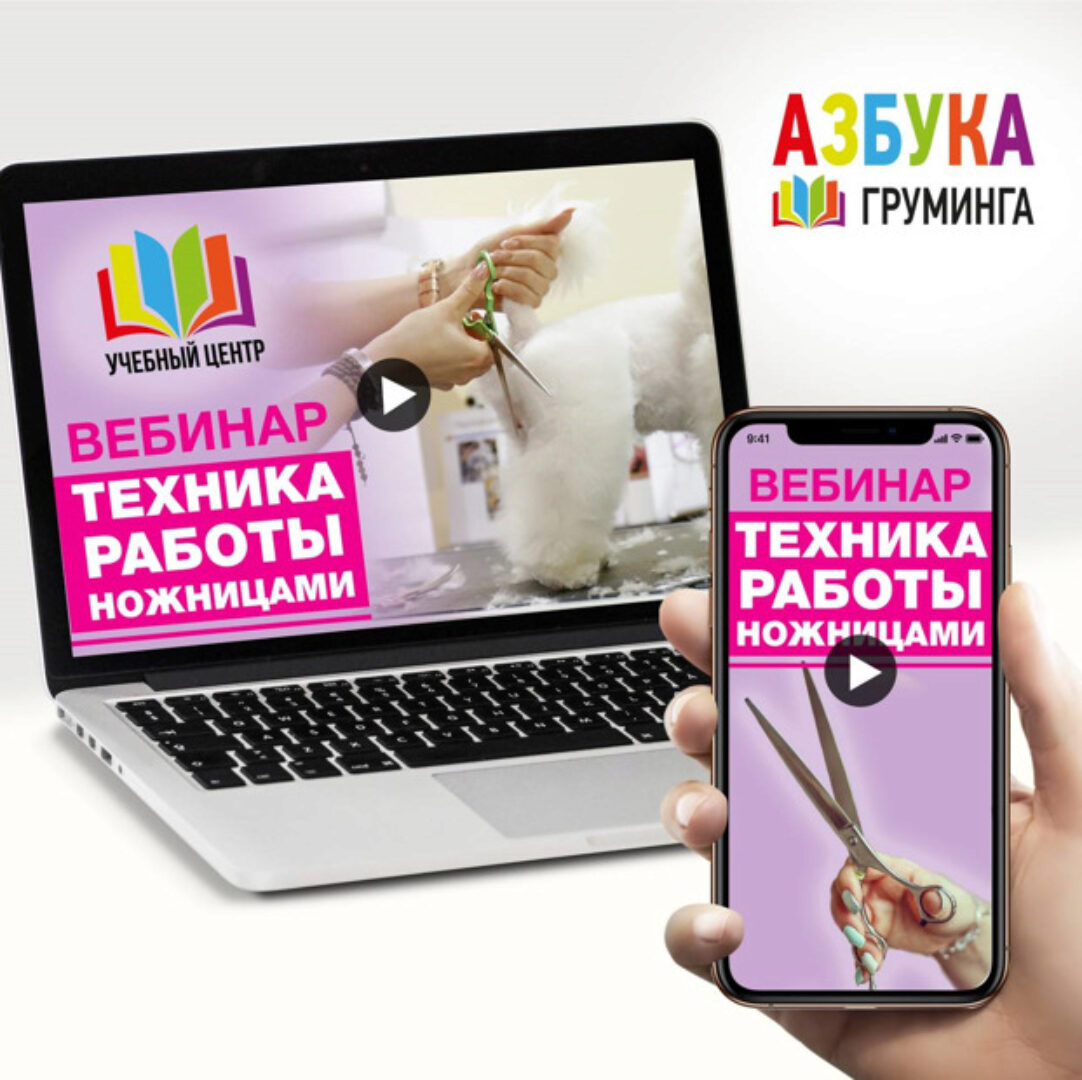 [Азбука Груминга] Техника работы ножницами (Дарья Казимова)