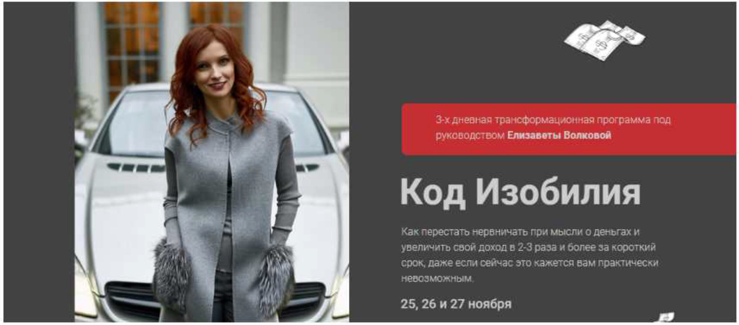 Код изобилия (Елизавета Волкова)