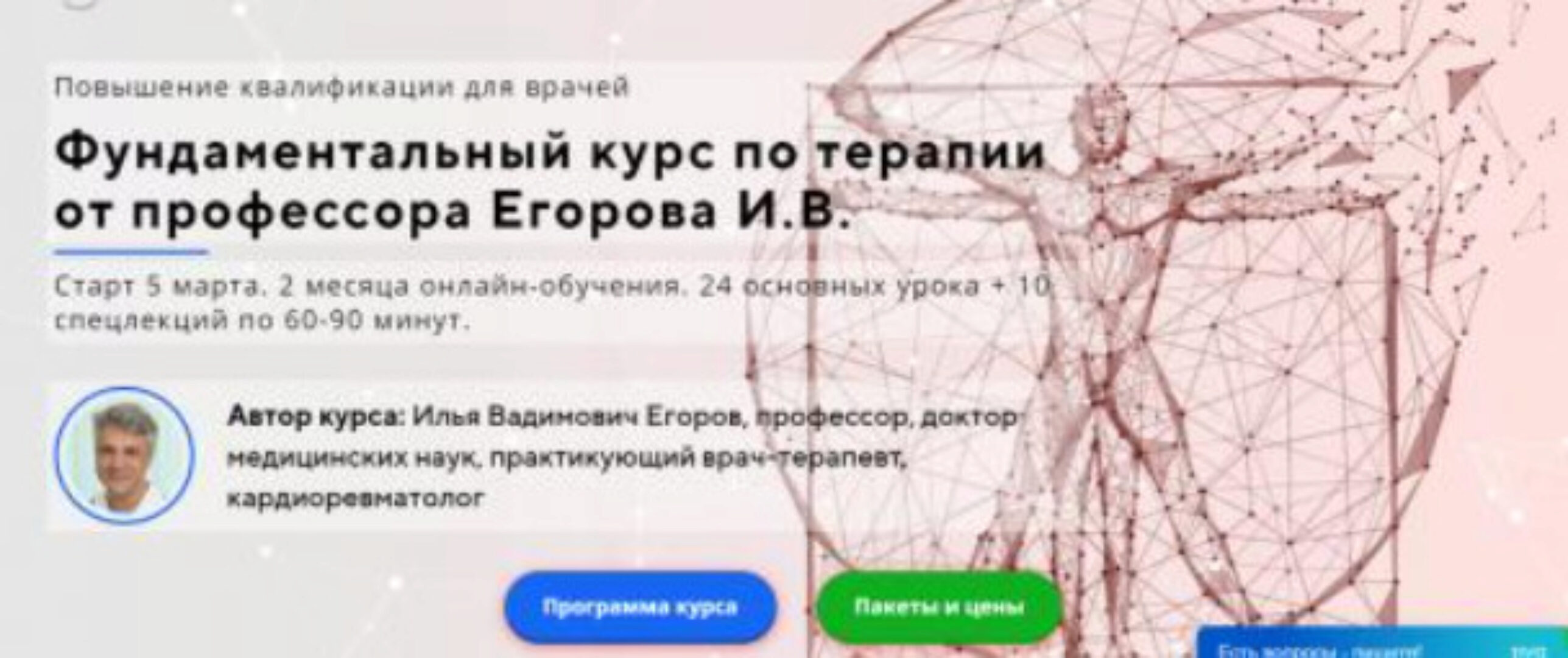 Фундаментальный курс по терапии. Полный курс (Илья Егоров)