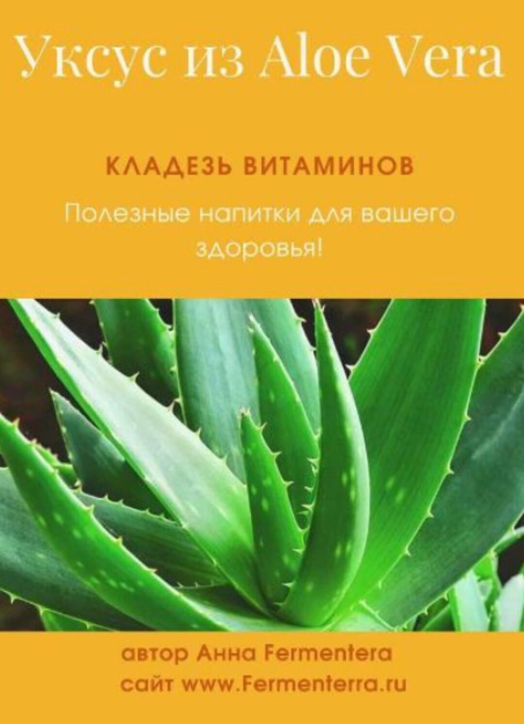 [Fermenterra] Уксус из алоэ вера (Анна Fermenterra)