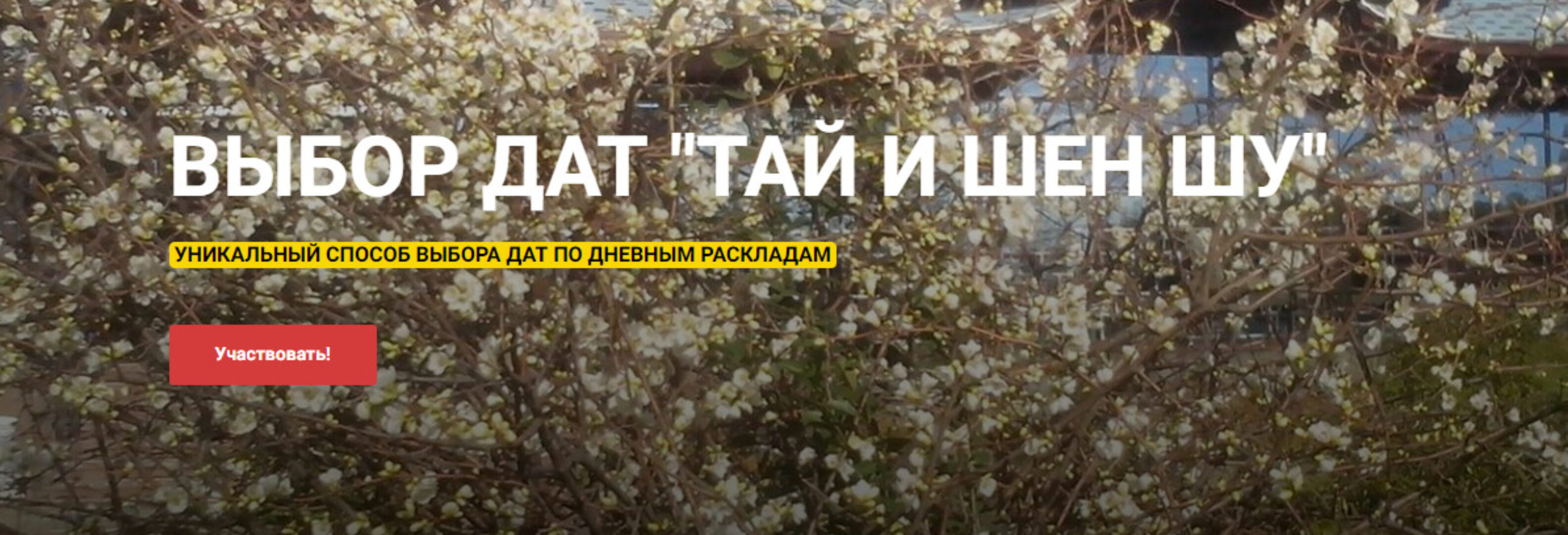 Выбор дат Тай И Шен Шу (Алексей Левандовский)