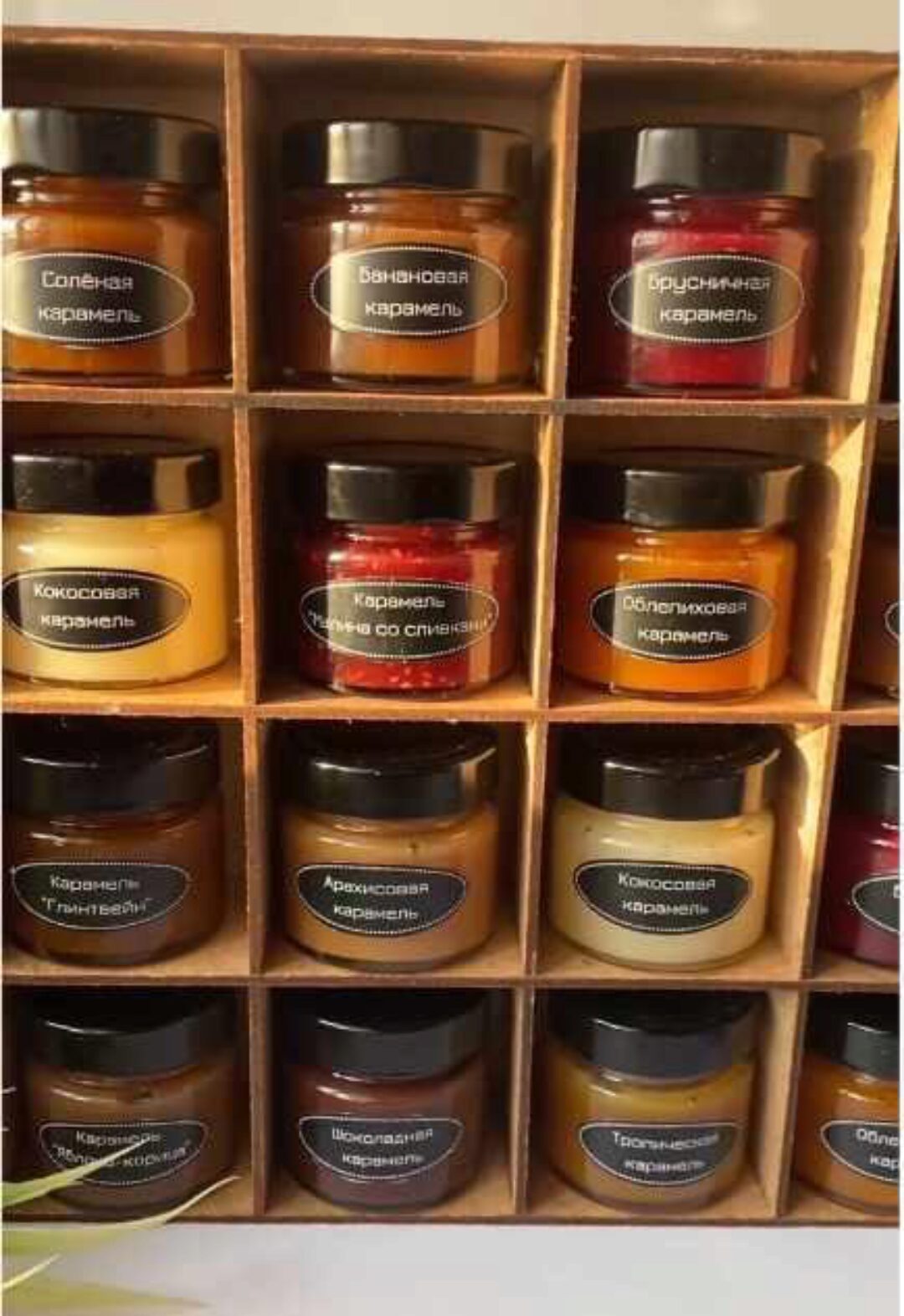 Сборник Монодесерты с карамелью (Олеся Шубина)