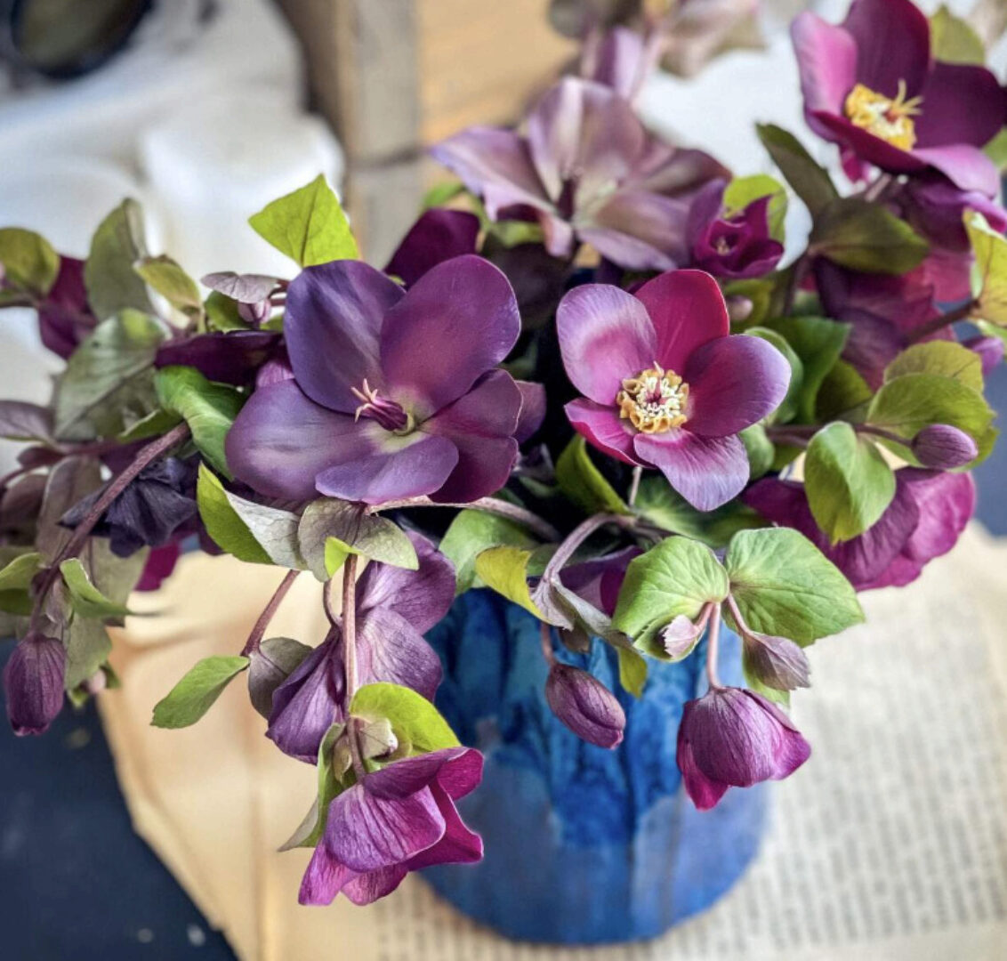 [tanyaflower] Морозник (Татьяна Кононова)