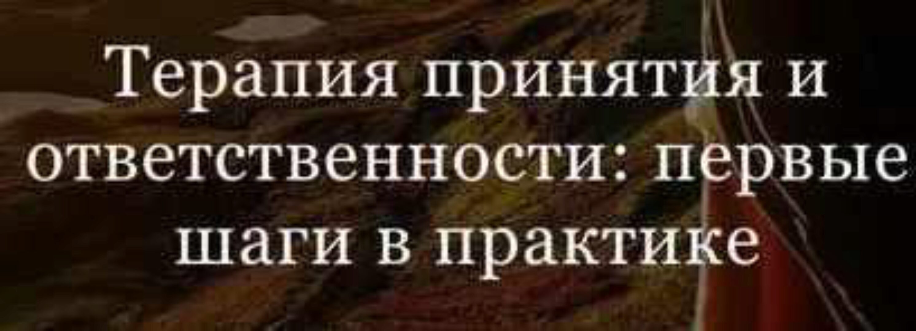 Терапия принятия и ответственности: первые шаги в практике (Дарья Сучилина)