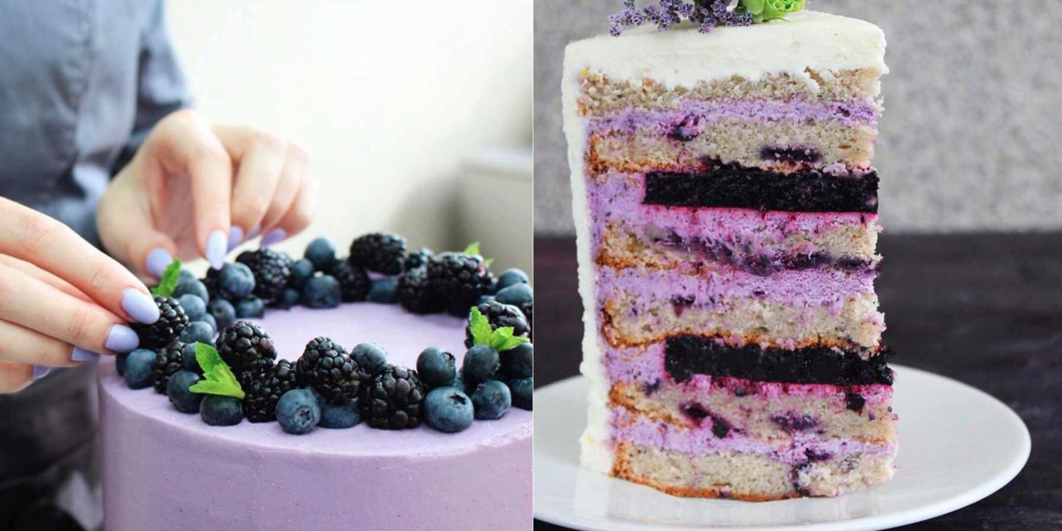 [Кондитерка] Торт «Бесконечная черника» (Алина Макарова)