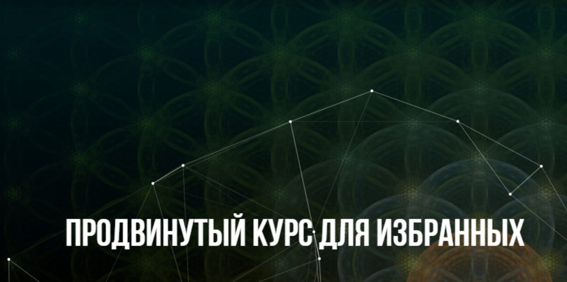 [Институт НЛП] Продвинутый курс для избранных (Михаил Пелехатый, Юлия Лисицына)
