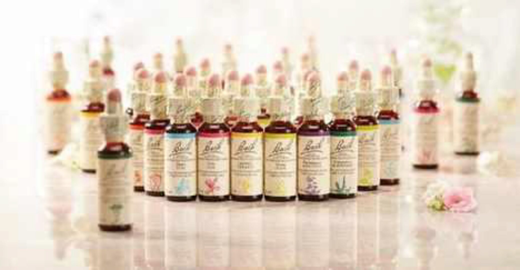 [Ассоциация Прикладной Кинезиологии] Висцеральная терапия органов брюшной полости