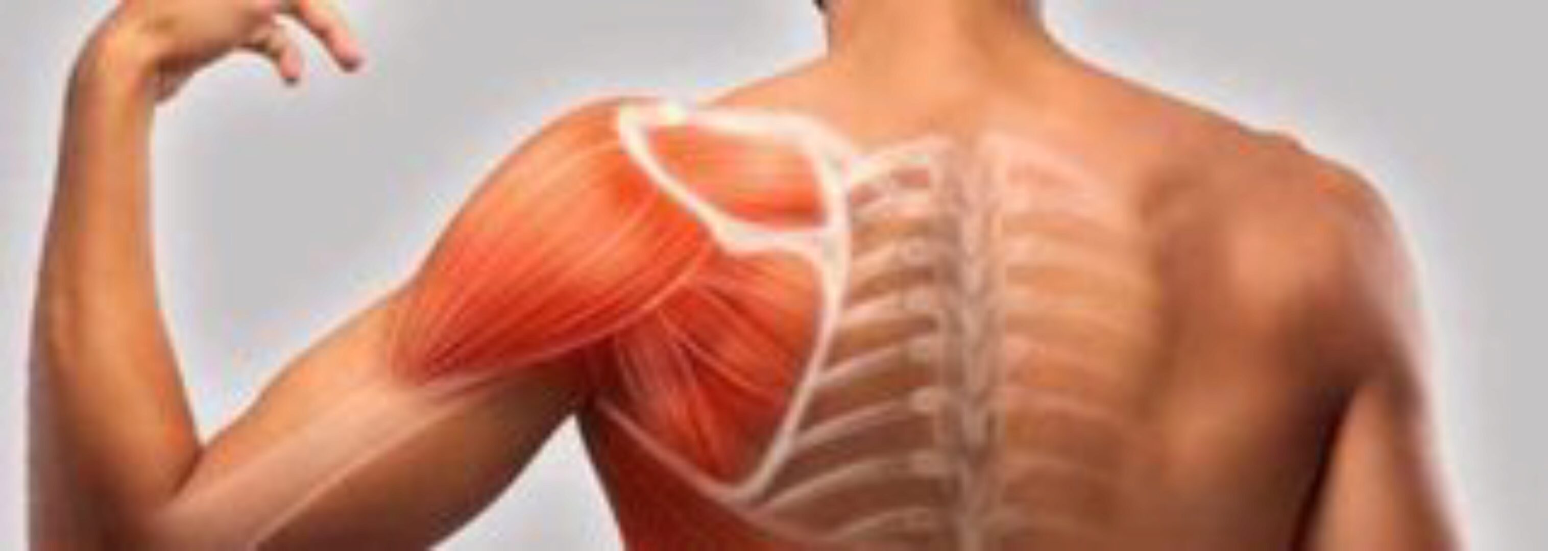 [CrowStore] Преабилитация : коррекция и активация. Серия 8. Работа с лопаткой (Анна Воронина, Антон Шапочка)