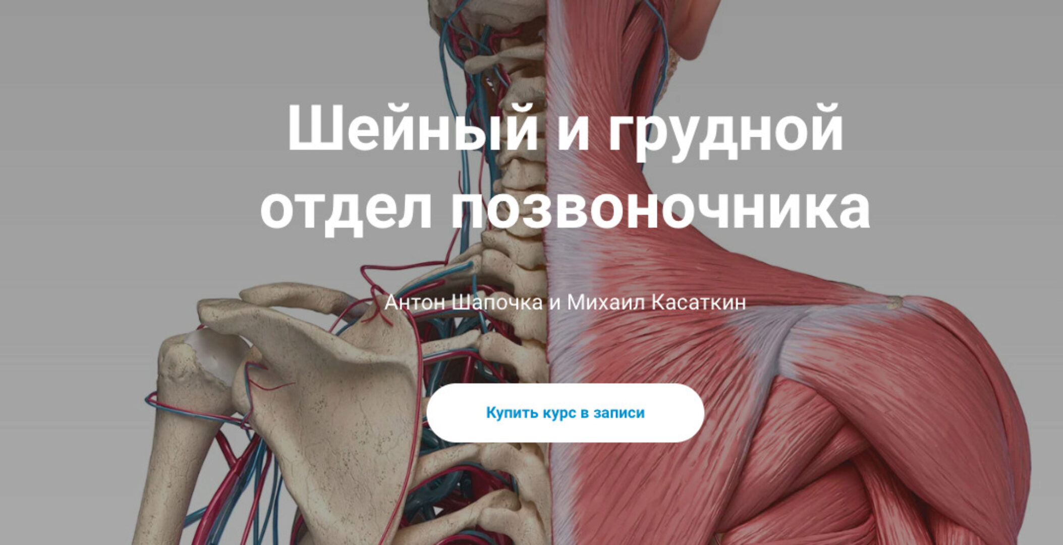 [kineziocourse] Шейный и грудной отдел позвоночника (Михаил Касаткин, Антона Шапочка)