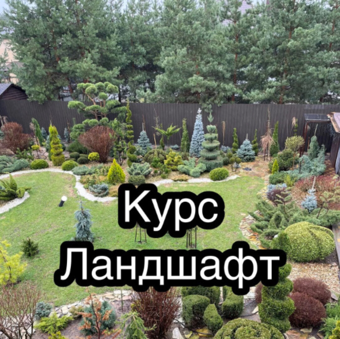 [Ева. Сад своими руками] Ландшафт