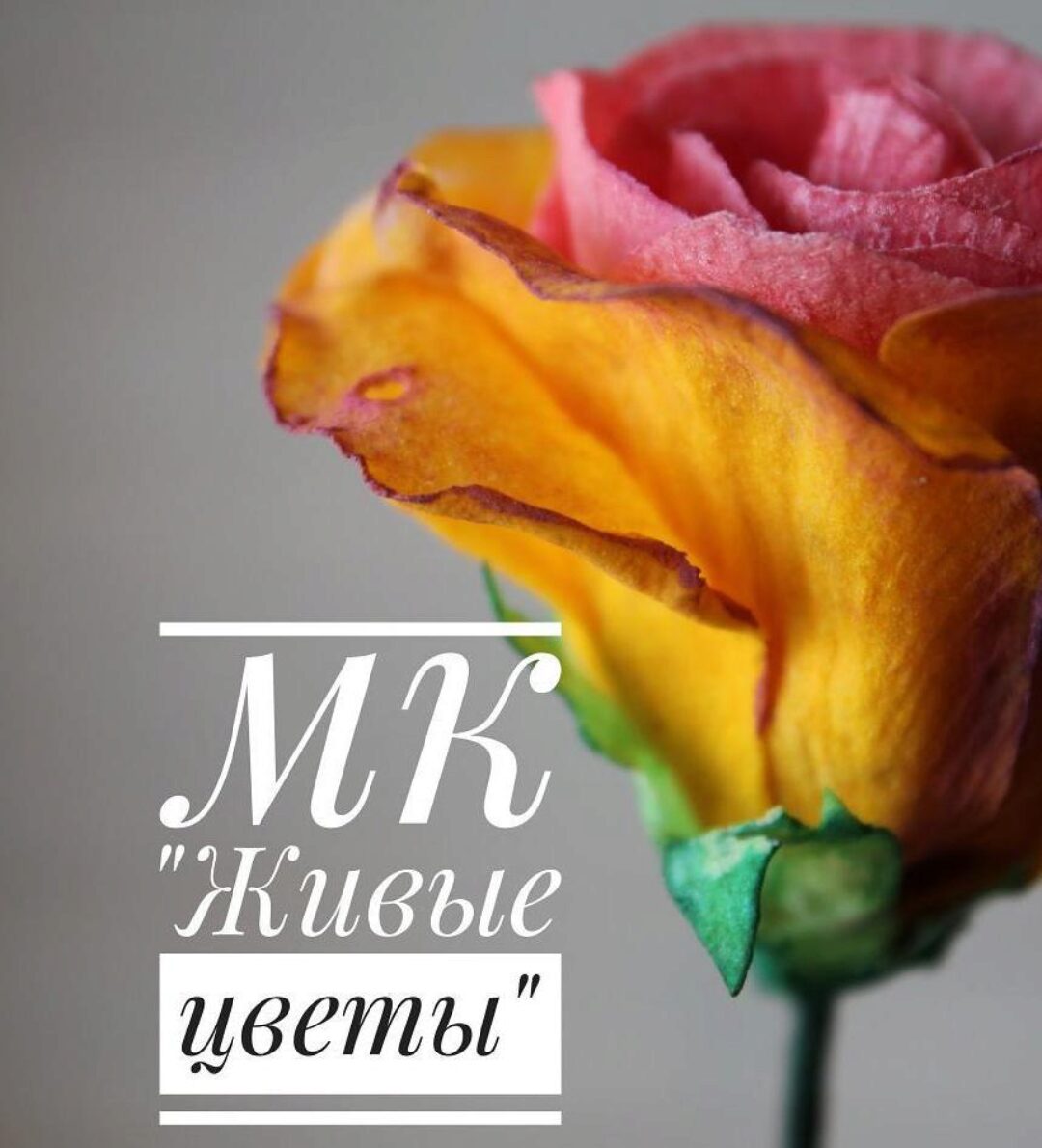 [Galaart_cake] Живые цветы из вафельной бумаги (Галина Горбут)