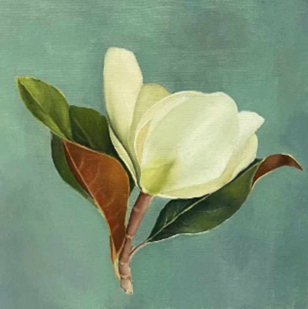 Магнолия (Анна Маратканова)