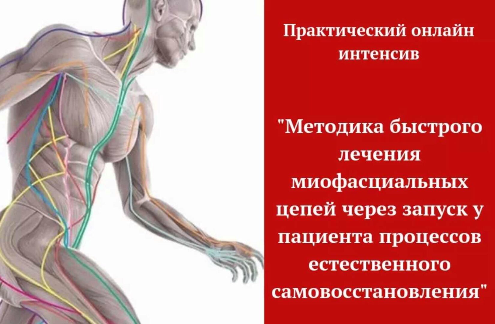 Методика быстрого лечения миофасциальных цепей (Игорь Атрощенко)