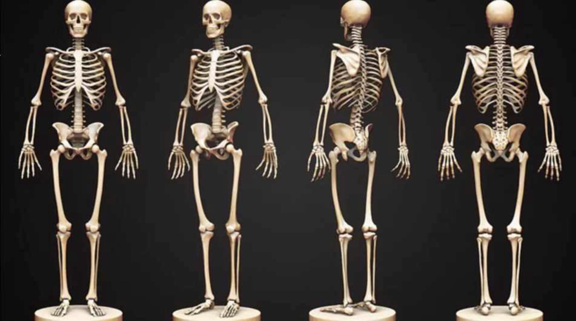 Психосоматика заболеваний опорно-двигательного аппарата Часть 2 (Татьяна Рожкова)