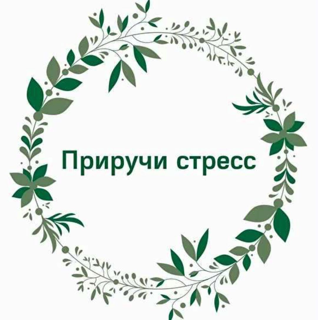 Приручи стресс (Наталья Кондакова)