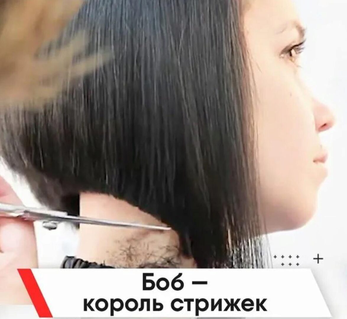 Боб - король стрижек (Артем Любимов)