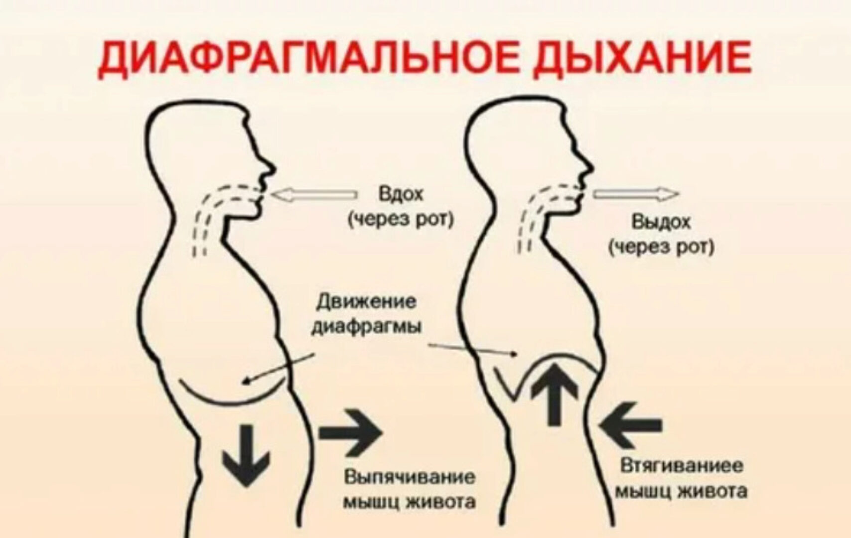 Диафрагмальное дыхание, 3 поток (Екатерина Фёдорова)
