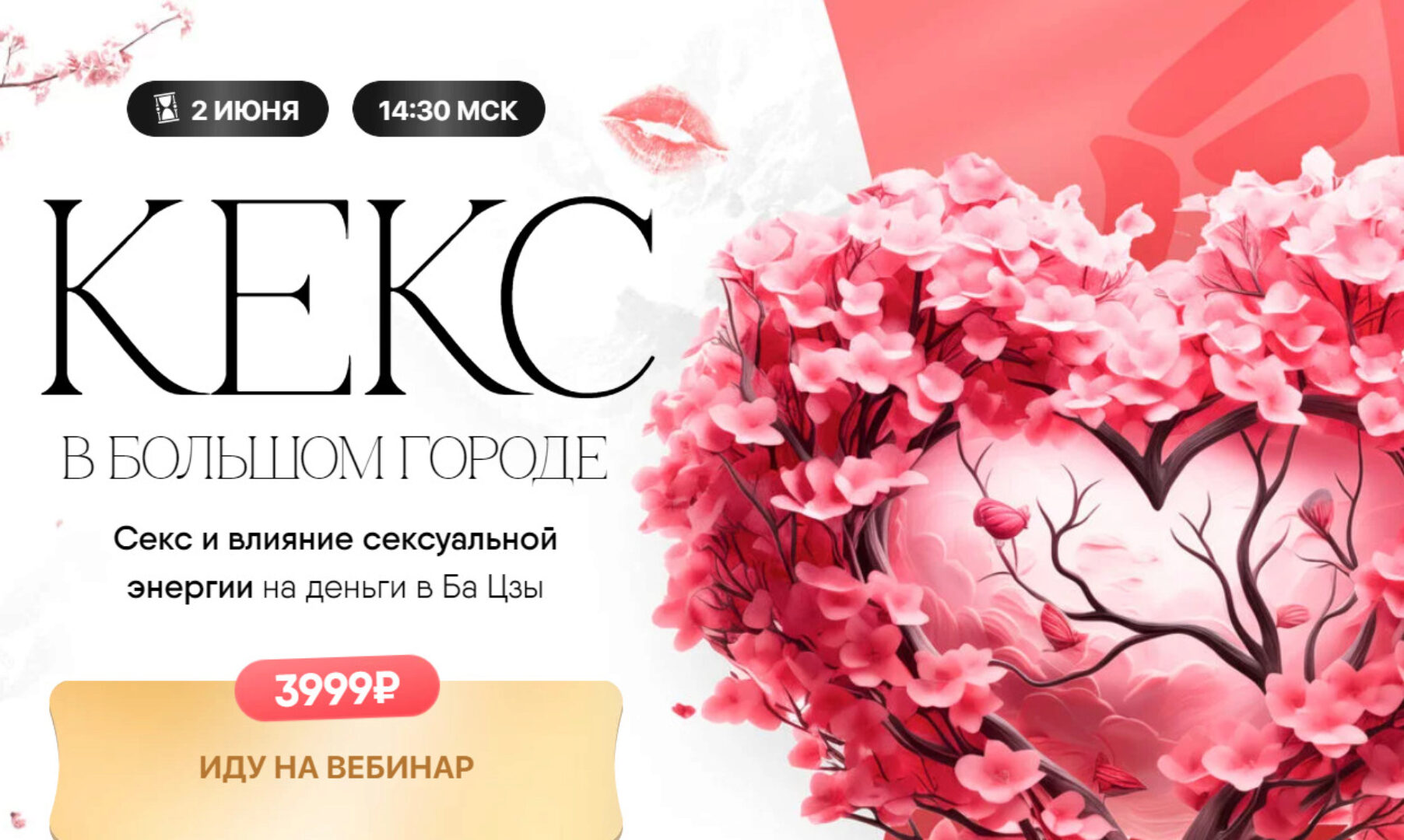 Кекс в большом городе. Как интимная жизнь влияет на благосостояние? (Дарина Высоцкая)