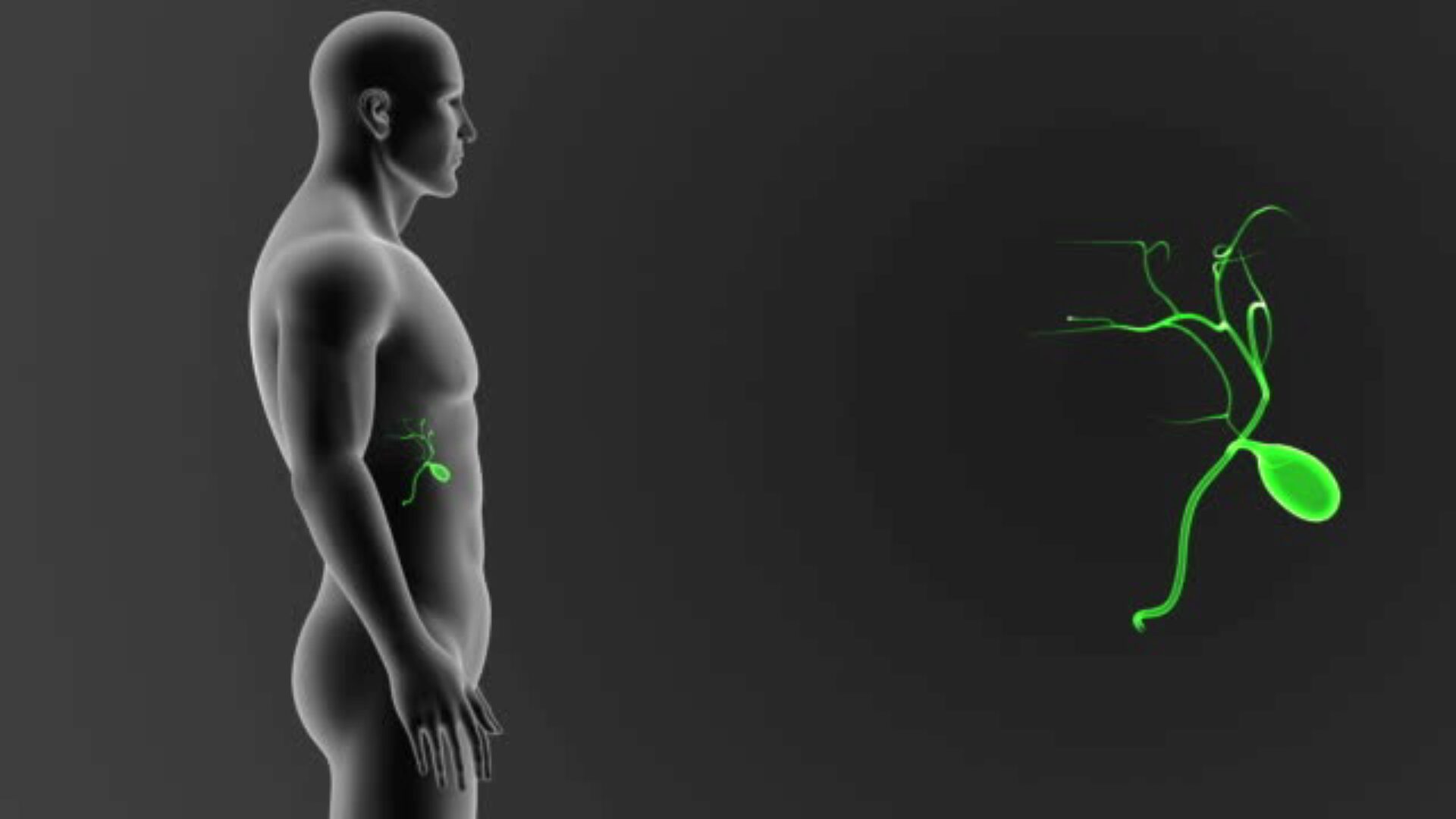 Гастро-группа Поджелудочная + Желчный.  1 поток (Сергей Вялов)