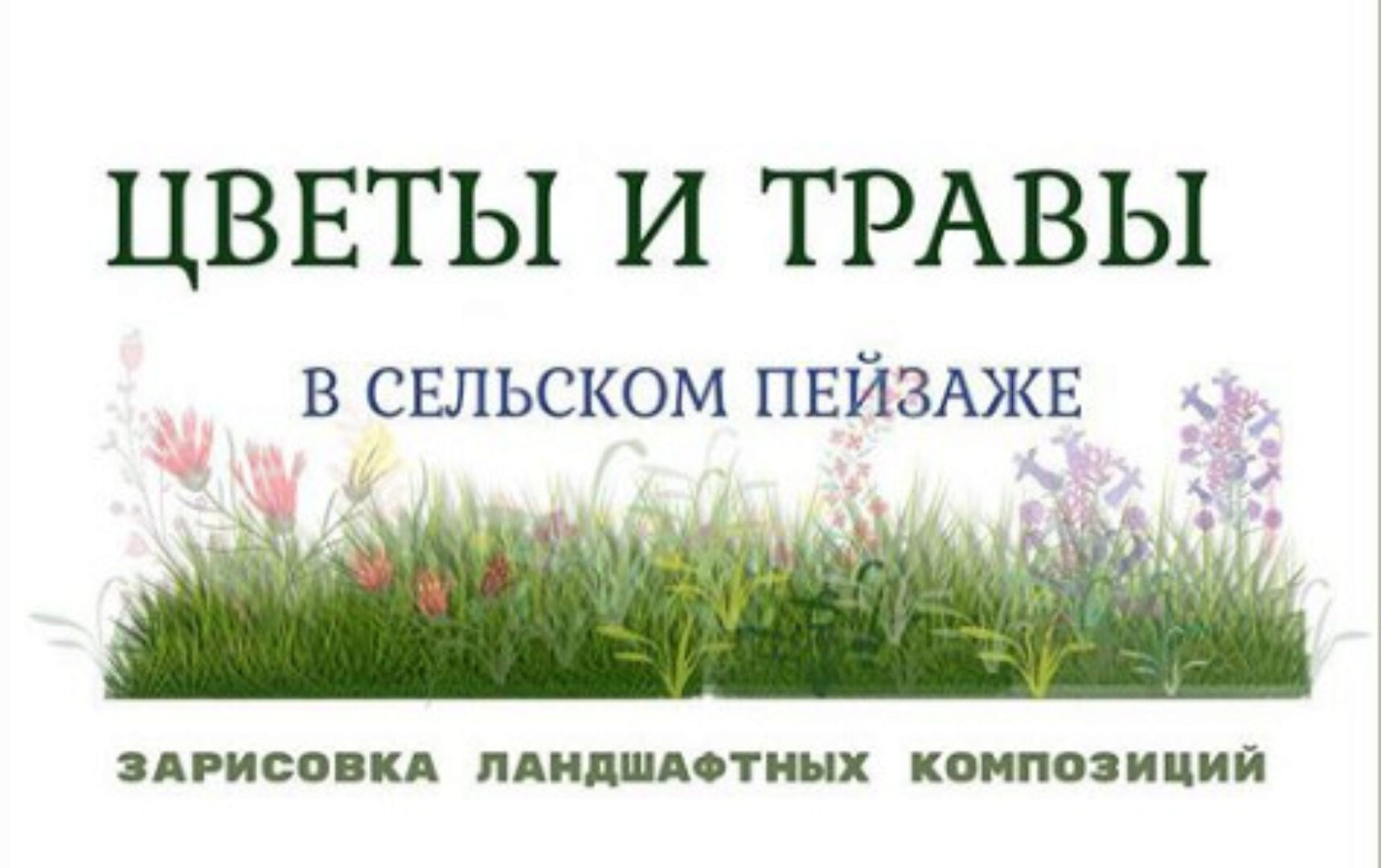 Цветники и травы (Екатерина Иванникова)