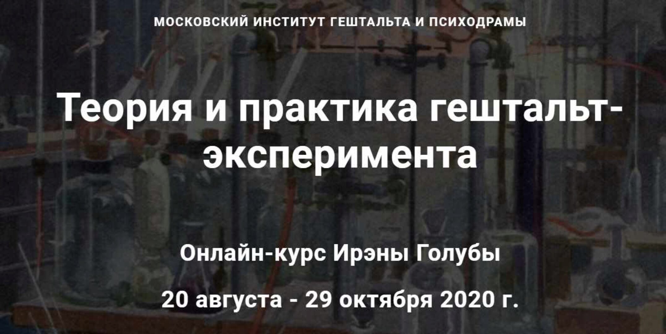 [МИГиП] Теория и практика гештальт-эксперимента. Полный курс (Ирэна Голуба)