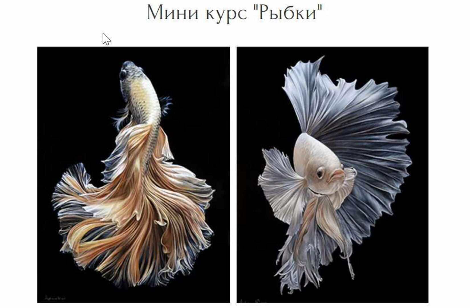 Мини курс «Рыбки» (Юлия Дубинина)