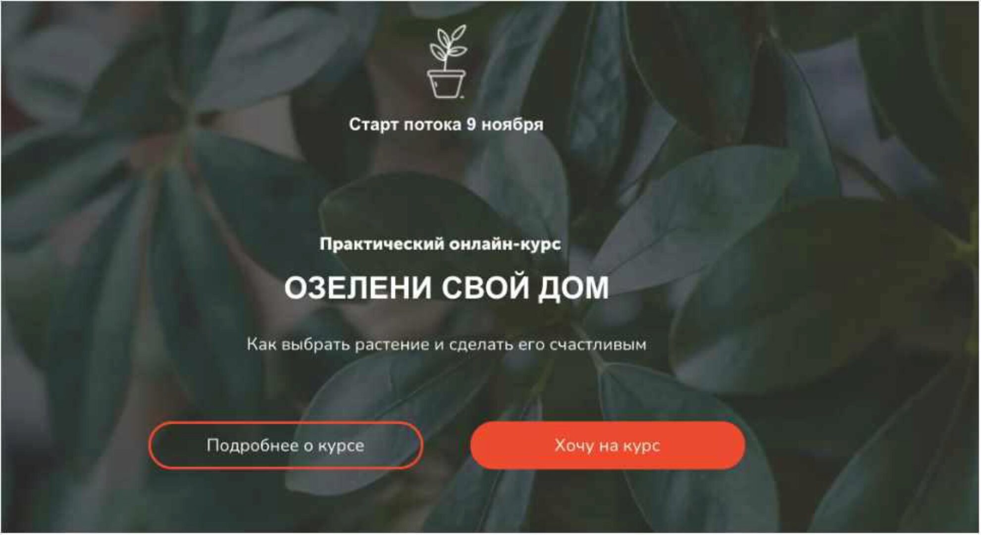 Озелени свой дом. Тариф Мне только посмотреть (Натали Серова)