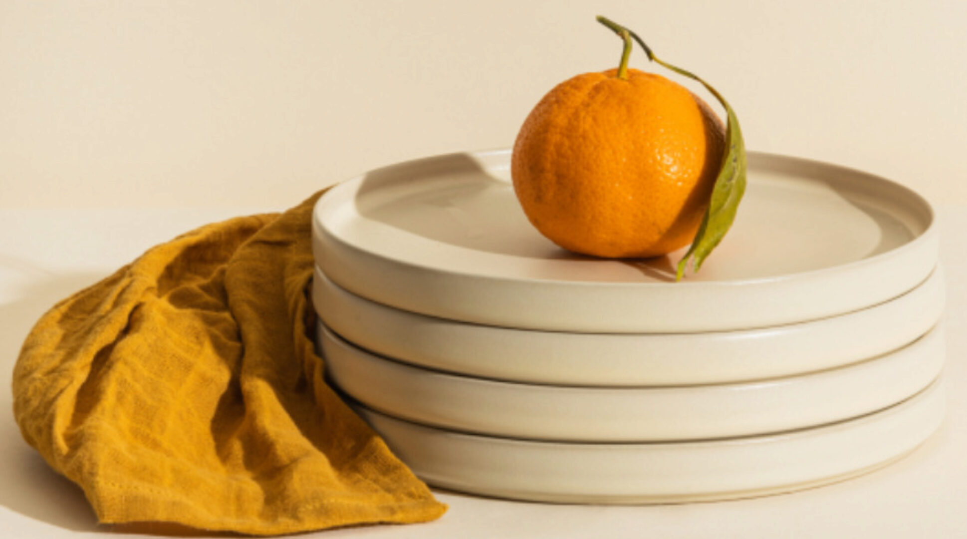 [aida_prodom] Генералю с Аидой 2023 (Аида Синицына)