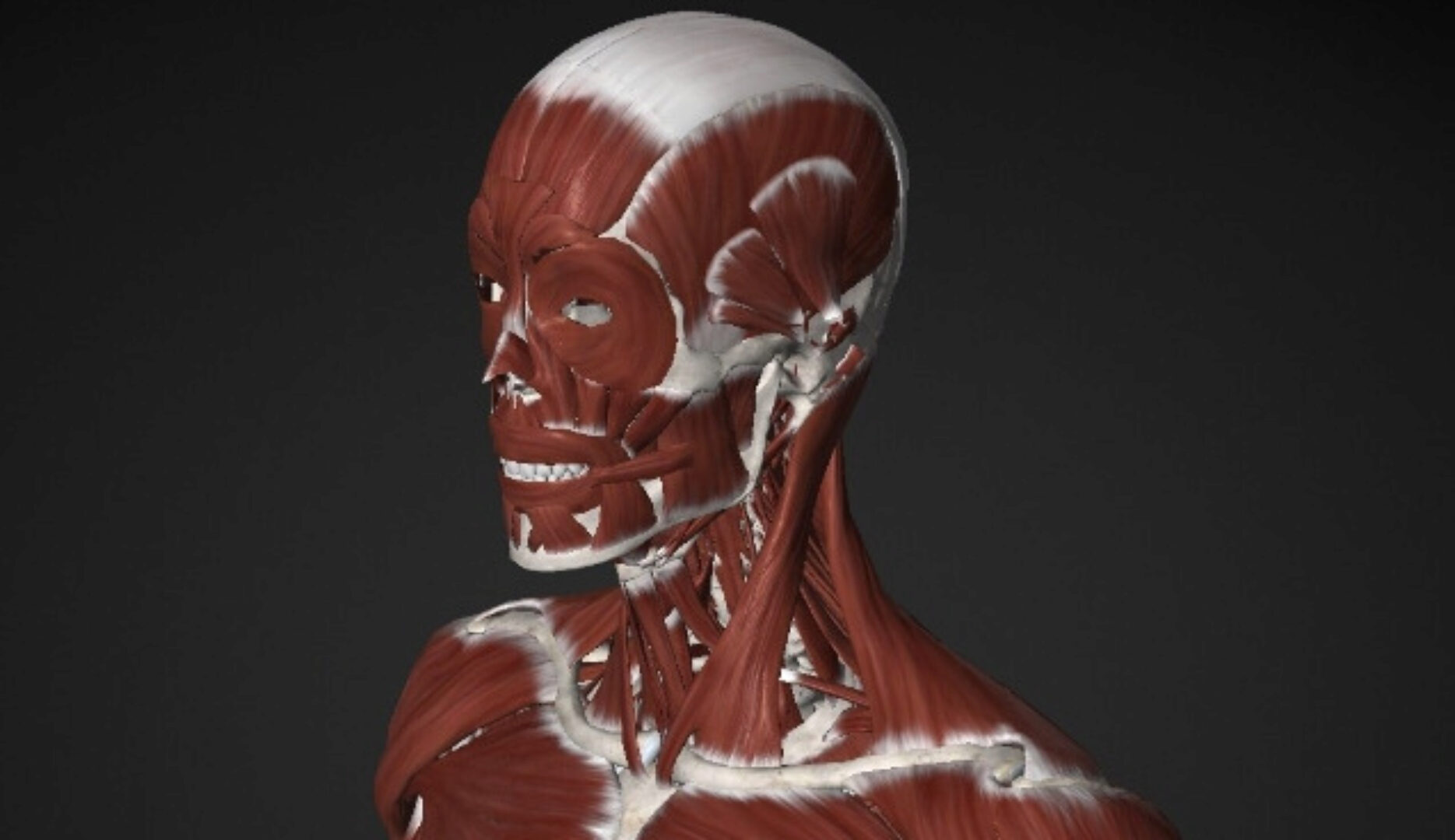 Массаж триггерных точек в шее и голове (Артем Пак)