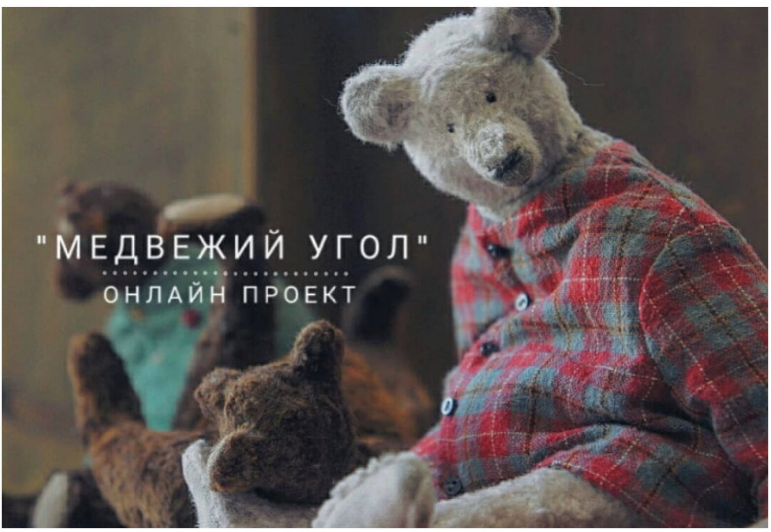 Видео курс «Медвежий угол» (Наталья Суранова)